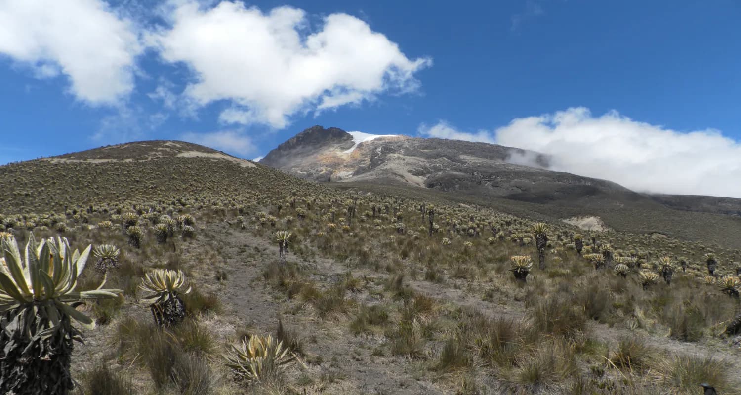 nevado del tolima livingcol