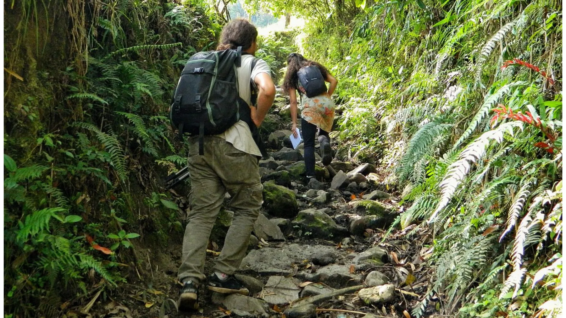 Caminata cultural por Ibagué 